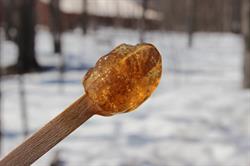 Cabane à Sucre St-Pierre & Famille Maple Sugar Camp, Lancaster, ON opening hours