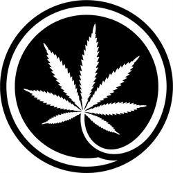 Calyx + Trichomes, Kingston, ON opening hours