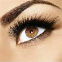 Frame Lash & Brow Lab, Delta, BC opening hours