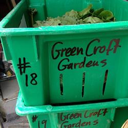 Green Croft Gardens, Mara, BC opening hours