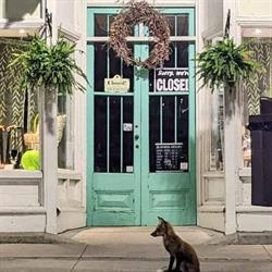 Whimsy Beaverton, opening hours