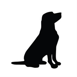 Black Lab Brewing, Toronto, ON opening hours
