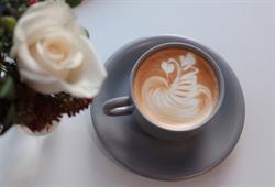 Another Land Coffee And More, North York, ON opening hours