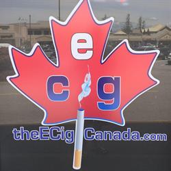 The Ecig Canada South Surrey, opening hours