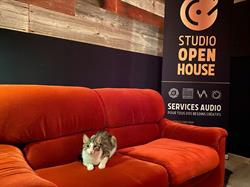 Studio Open House, Longueuil, QC opening hours