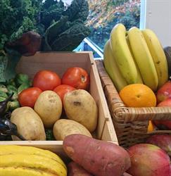 Moss Park Market, Toronto, ON opening hours