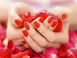 Favorite nails & spa, Toronto, ON opening hours