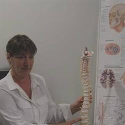 SJ Osteopathy Clinic, London, ON opening hours