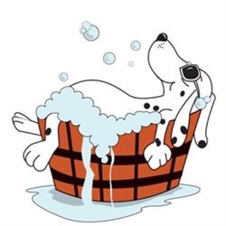 Bien en Chien, Repentigny, QC opening hours