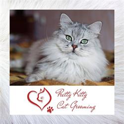 Pretty Kitty Cat Grooming, Edmonton, AB opening hours