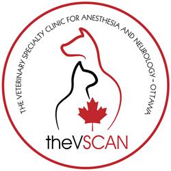 Thevscan, Ottawa, ON opening hours