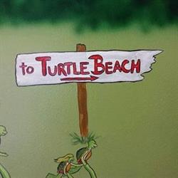 Turtle Beach Cafe, Port Alberni, BC opening hours