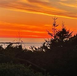 Cygnet Cove Suites, Ucluelet, BC opening hours