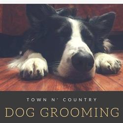 Town N' Country Dog Grooming, Forest, ON opening hours