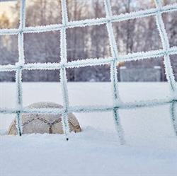 Soccer Northwest Ontario, Thunder Bay, ON opening hours