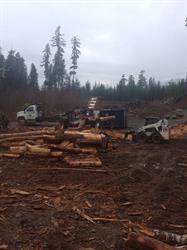 West Coast Firewood, Port Alberni, BC opening hours