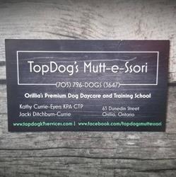 Top Dog's Mutt-e-Ssori, Orillia, ON opening hours