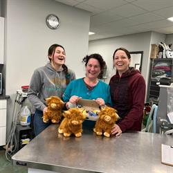 Dragon Lake Veterinary Hospital, Quesnel, BC opening hours
