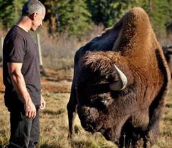 Rocky Mountain Buffalo Ranch & Guest Cottage, Golden, BC opening hours