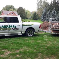 Arborist King, Kitchener, ON opening hours