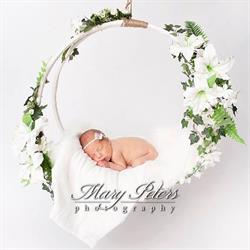 Mary Peters Photography, Edmonton, AB opening hours