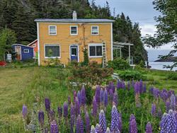 East Coast Newfoundland Cottage & Cabins, Bauline East, NL., Tors Cove, NL opening hours