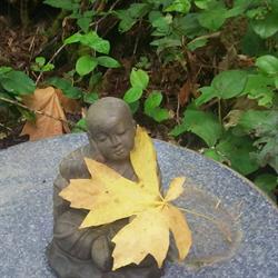 Nichiren Peace Center, a Buddhist Community, Duncan, BC opening hours