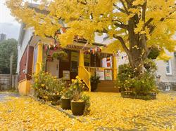 Ottawa Buddhist Vihara,ON, opening hours