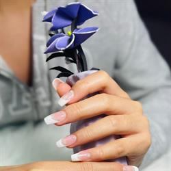 Aloha Nails & Spa, Saskatoon, SK opening hours