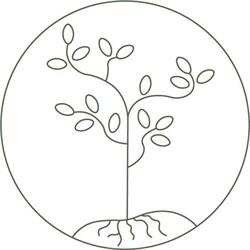 Dr Brenna & Three Graces Medi Spa, Dauphin, MB opening hours