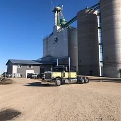 Prairie Gold Transport, Winkler, MB opening hours