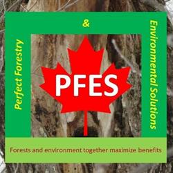 Perfect Forestry and Environmental Solutions - PFES, Fredericton, NB opening hours
