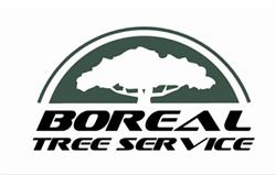 Boreal Tree Service, Rosslyn, ON opening hours