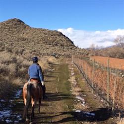 Sun Hills Riding Centre, Osoyoos, BC opening hours