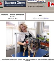 South Paws Dog Grooming, Southampton, ON opening hours