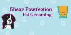 Shear Pawfection Pet Grooming, Midland, ON opening hours