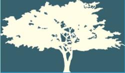 Woods Therapeutic Care Registered Massage Therapy, Belleville, ON opening hours