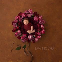 Eva Mocha Photography, Burlington, ON opening hours