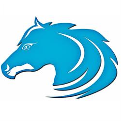 Blue Stallion Xpress Inc., Sarnia, ON opening hours