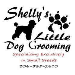 Shelly's Little Dog Grooming, Regina, SK opening hours