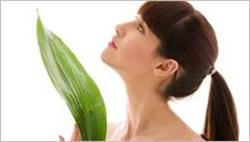 ADS Massage Therapy, Edmonton, AB opening hours