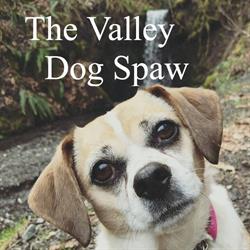 The Valley Dog Spaw, Chilliwack, BC opening hours