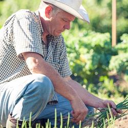 Victor's Farm Shares, Ridgeville, ON opening hours
