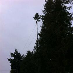 Sk'elep Tree Experts Ltd., Kamloops, BC opening hours