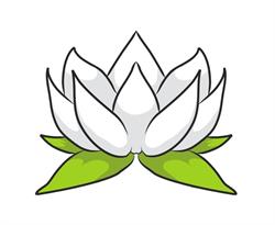White Lotus Massage, Toronto, ON opening hours