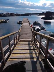 Harbour Authority of Burgeo, opening hours