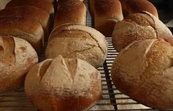 Vassili's Bread Shop, Courtenay, BC opening hours