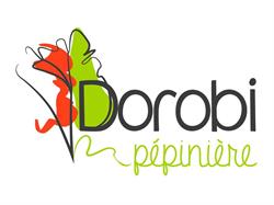 Botanix, Rouyn-Noranda, QC opening hours