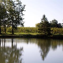 Vinemount Estates, Hamilton, ON opening hours