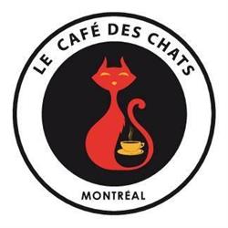 Le Café des Chats - Cat Café, Montréal, QC opening hours
